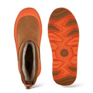 UGG Men