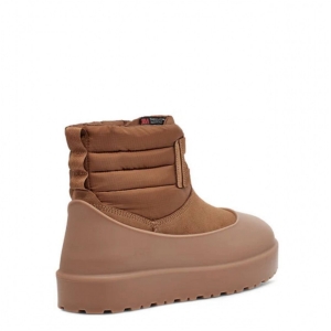 UGG Women