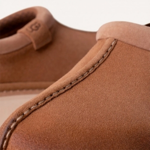 UGG Men