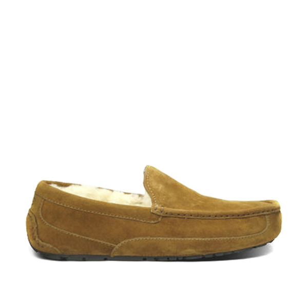 UGG Men's Ascot Chestnut