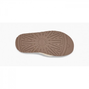 UGG Disco Cross Slide - Chestnut