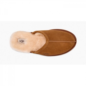 UGG MENS SCUFF SLIPPER CHESTNUT