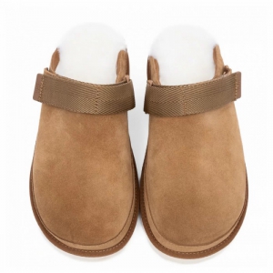 UGG Goldenstar Clog - Chestnut