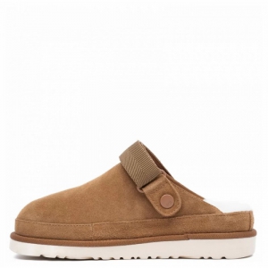 UGG Goldenstar Clog - Chestnut