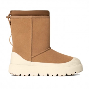 UGG Classic Short Weather Hybrid - Chestnut / Whitecap