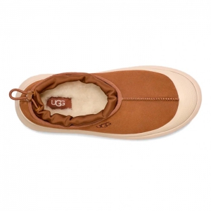 UGG Tasman Weather Hybrid - Chestnut / Whitecap