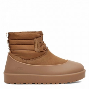 UGG Women