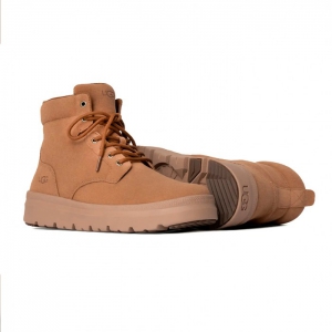 UGG Men