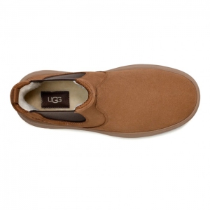 UGG Men