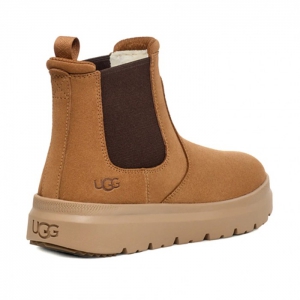 UGG Men