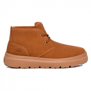 UGG Men's Burleigh Chukka - Chestnut