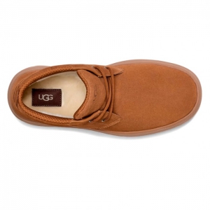 UGG Men