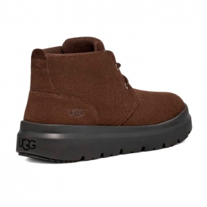 UGG Men