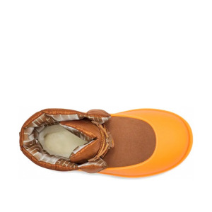 UGG Men